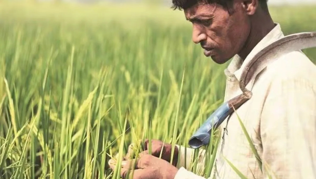 PM Kisan Yojana 2025: 20वीं किस्त का इंतज़ार और नए किसानों के लिए रजिस्ट्रेशन का सुनहरा मौका